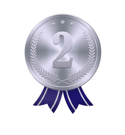 Second Prize